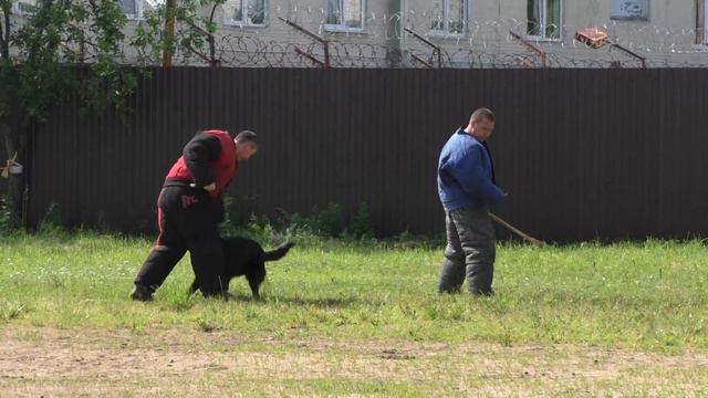 н/о Иветта группа Б 4 этап смотреть онлайн