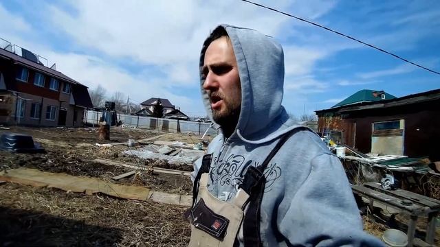 Зачем нам лес. О зоозащите и бродячих собаках. смотреть онлайн