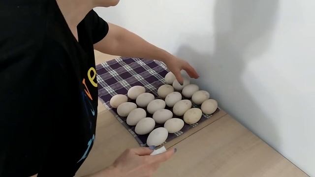 #Первая закладка 2021 гусиных яиц#Проверяем на оплод# смотреть онлайн