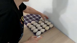 #Первая закладка 2021 гусиных яиц#Проверяем на оплод#