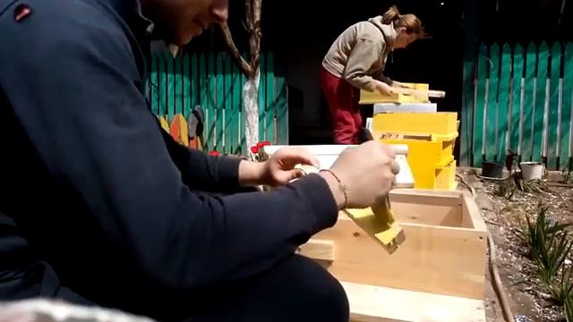 Пчеларството не е само събиране на мед и хващане на роеве. смотреть онлайн