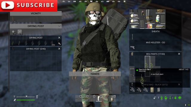 DayZ 1.19 guide to growing weed - DayZ #dayz #dayzstandalone #dayzgameplay смотреть онлайн