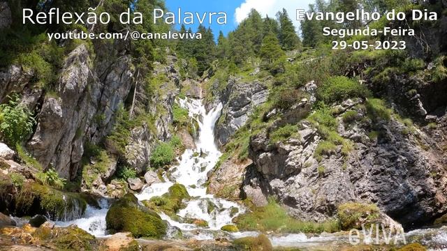 EVANGELHO DO DIA 29/05/2023 Narrado e Comentado - LITURGIA DIÁRIA - HOMILIA DIARIA HOJE смотреть онлайн