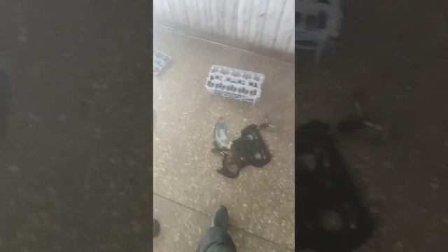 Мойка двигателя, мойка запчастей, ручная мойка, мойка разобранного двс. смотреть онлайн