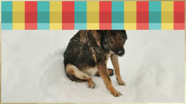 Весёлый, свежий, универсальный смотреть онлайн