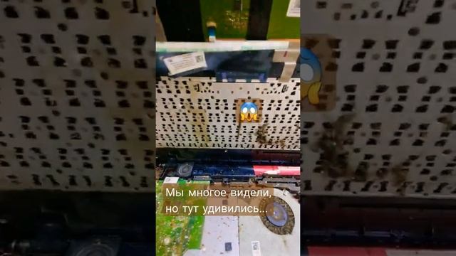 Разные бывают ноутбуки, но такие грязные очень редко заходят. Не надо чистить! смотреть онлайн