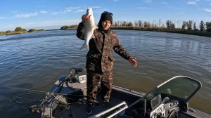 Рыбалка в Астрахани. Осенний хищник гнет удилища. Октябрь на базе Блесна