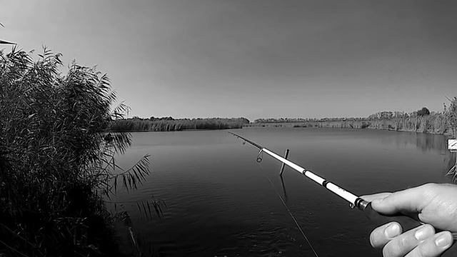 Тп 5 ЛУЧШИХ спиннингов для ловли ЖЕРЕХА