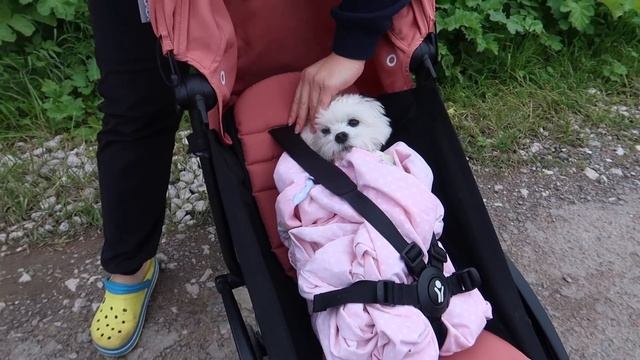 КЕВИН И БИЛЛИ СТАЛИ ДЕТЬМИ НА 24 ЧАСА! смотреть онлайн