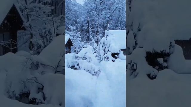 BRP техника высокого качества и надежности смотреть онлайн