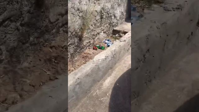 Авто из Армении что есть на рынке часть1.22.07.19 смотреть онлайн