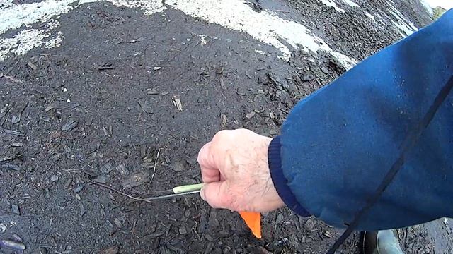 Дождевые черви ХХI – века #815 смотреть онлайн