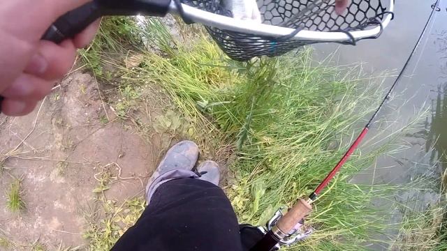 Уникальная рыбалка на БАССА в России. Часть 2 смотреть онлайн