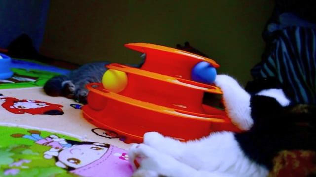 Three Levels Tower of Tracks Pet stages Cat Turbo Toy Play Station Suitable for One or More cats смотреть онлайн