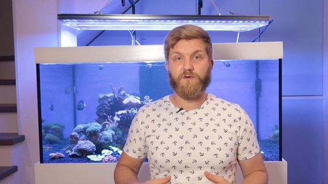 высокий нитрат и фосфат в морском аквариуме. мягкий риф 700. смотреть онлайн