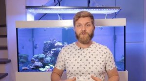 высокий нитрат и фосфат в морском аквариуме.  мягкий риф 700.