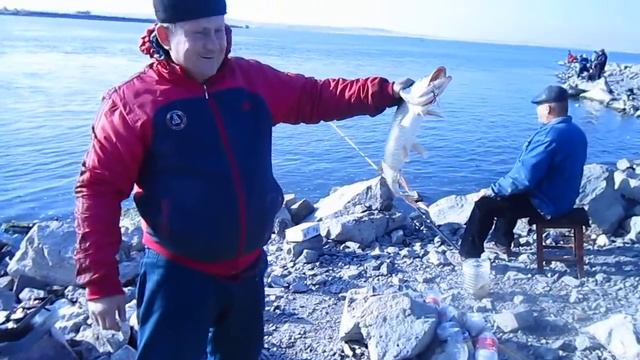 рыбалка в топаре от Вованыча смотреть онлайн