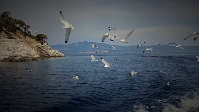 In The Beginning (short film) | Genesis 1, 2:1-3 смотреть онлайн