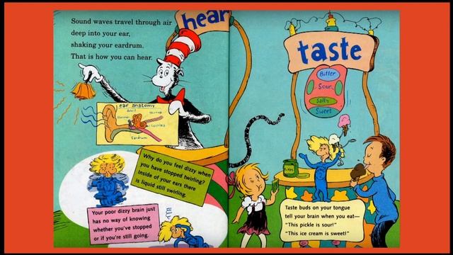 Inside Your Outside | All About the Human Body | Cat in the Hat's Learning Library | Read Aloud смотреть онлайн