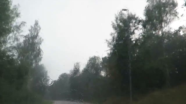 ЛИСИЧКИ: от леса до морозильной камеры смотреть онлайн