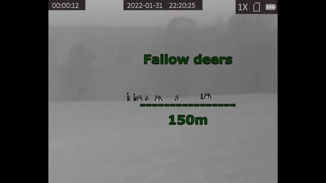 Hikmicro LYNX pro LH25, JUST OBSERVATION смотреть онлайн