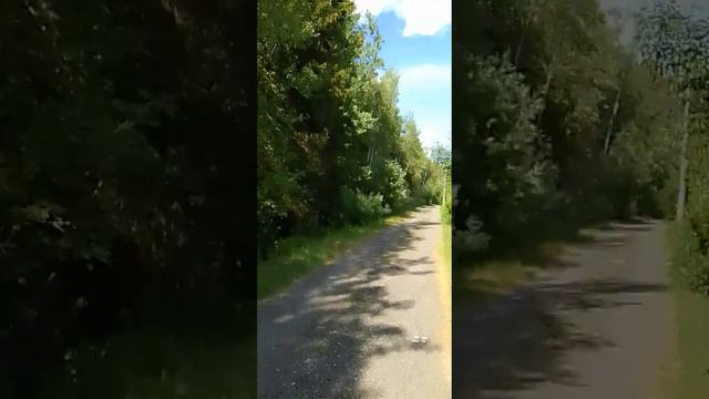 5 Лунный день. Будем в дороге. Опасный Марс во Льве. 1 часть. См. продолжение и ссылки в описание. смотреть онлайн