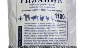 Тилозин для кур