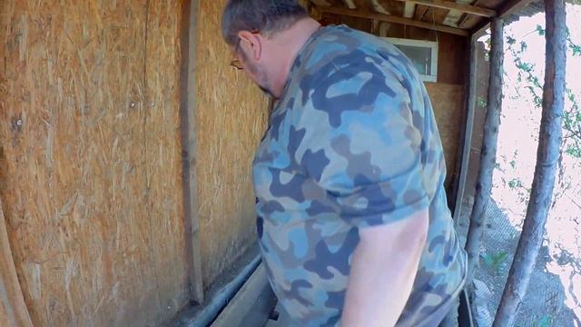 Курица Несушка села в Гнездо высиживать Яйца смотреть онлайн