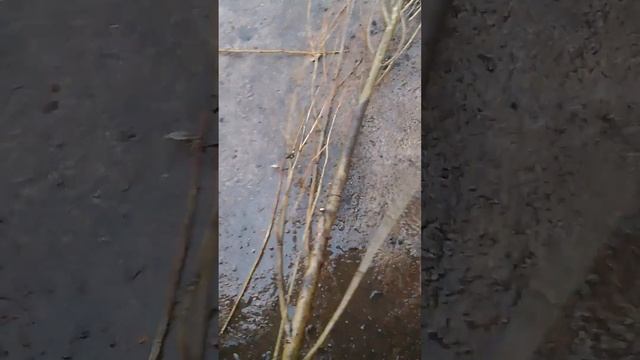 Рисунки сочных красок