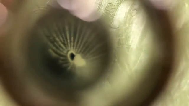 Где купить кулон Я люблю тебя на 100 языках мира в Москве или СПБ? Есть ответ! смотреть онлайн