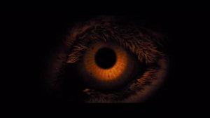 Walt Disney Animation Studios/Metro Goldwyn Mayer (2x) (2016, version 2)