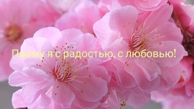 Александр Скутельник -Стихотворение - "Цветы". смотреть онлайн