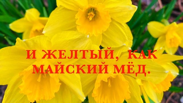 ДОБРЫЙ ВЕЧЕР!/ПОЖЕЛАНИЕ ПРЕКРАСНОГО ВЕЧЕРА!/ ЦВЕТОЧНЫЙ ВЕЧЕР! смотреть онлайн
