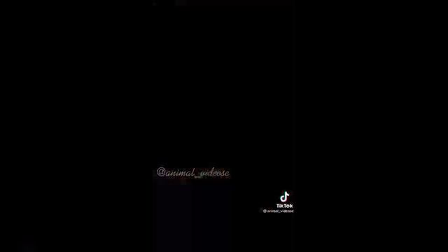 включи если будет грусно 2 часть смотреть онлайн