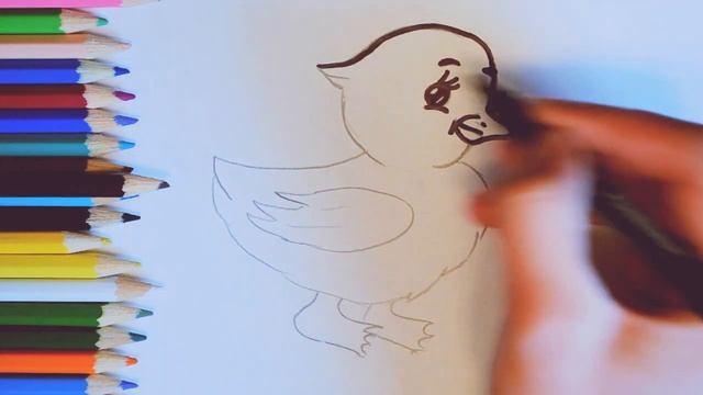 Как нарисовать утенка Рисуем утенка смотреть онлайн