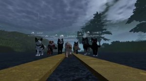 Коты воители