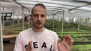 БИЗНЕС ЛУК НА ПЕРО. СКОЛЬКО ДЕНЕГ ПРИНОСИТ ВЫРАЩИВАНИЕ ЛУКА С НУЛЯ. ОШИБКИ И ВЫВОДЫ.