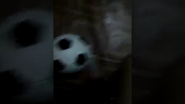учимся двигать мячиком чтобы сильно пинать смотреть онлайн
