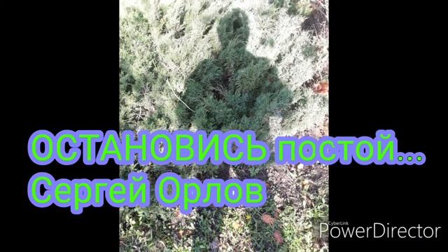 Остановись,постой...Сергей Орлов смотреть онлайн