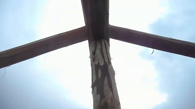 Теплица своими руками смотреть онлайн