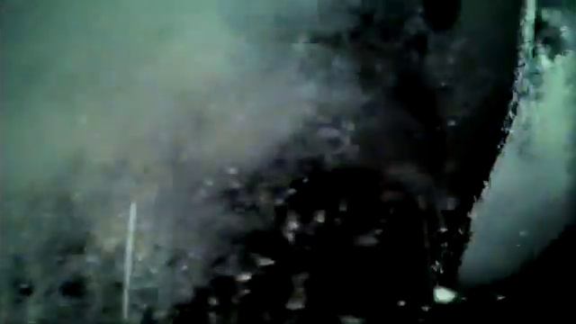 The Dears - Disclaimer