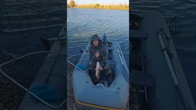 Один заброс и Щука на 2 кг! Щука в октябре. смотреть онлайн