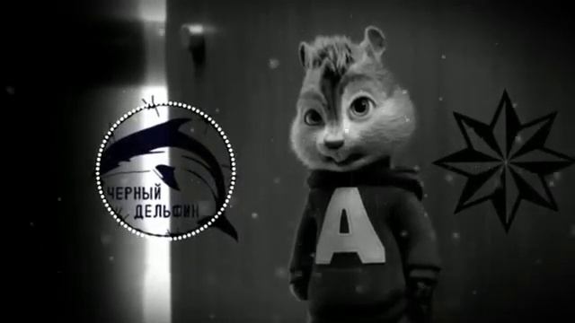 ЧёРНЫЙ ДЕЛЬФИН🐬 БУРУНДУКИ🐿️ смотреть онлайн