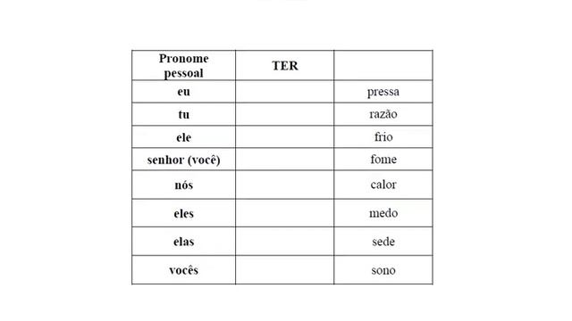 Португальский урок 9: Глагол TER (иметь): спряжение, упражнение и выражения для разговорной практик
