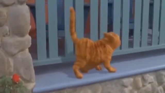 Песня эй толстый смотреть онлайн