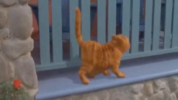 Песня эй толстый