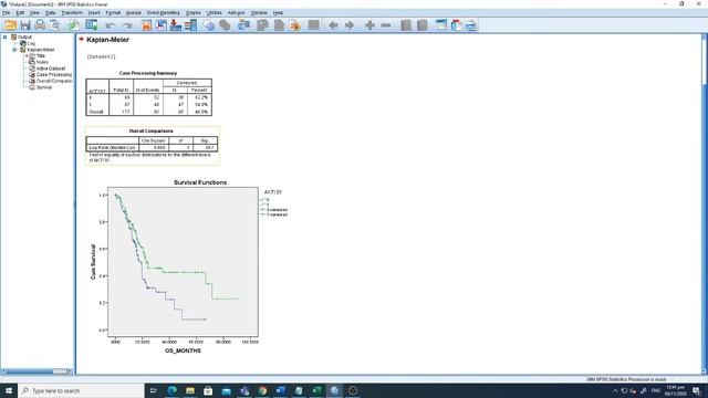 Cox Regression Survival Analysis - IBM SPSS смотреть онлайн