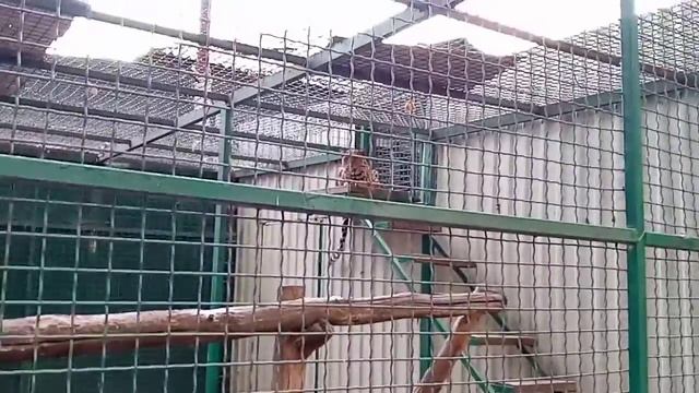 Харьков. Эко-Парк Фельдман смотреть онлайн