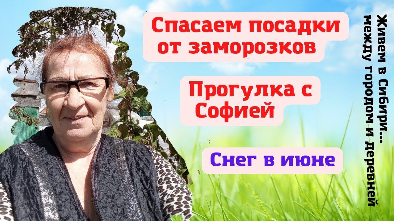 04.06.2022 Снег в июне. Спасаем посадки от заморозков. Прогулка с Софией