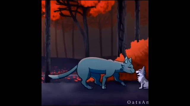 Коты воители-мошка смотреть онлайн